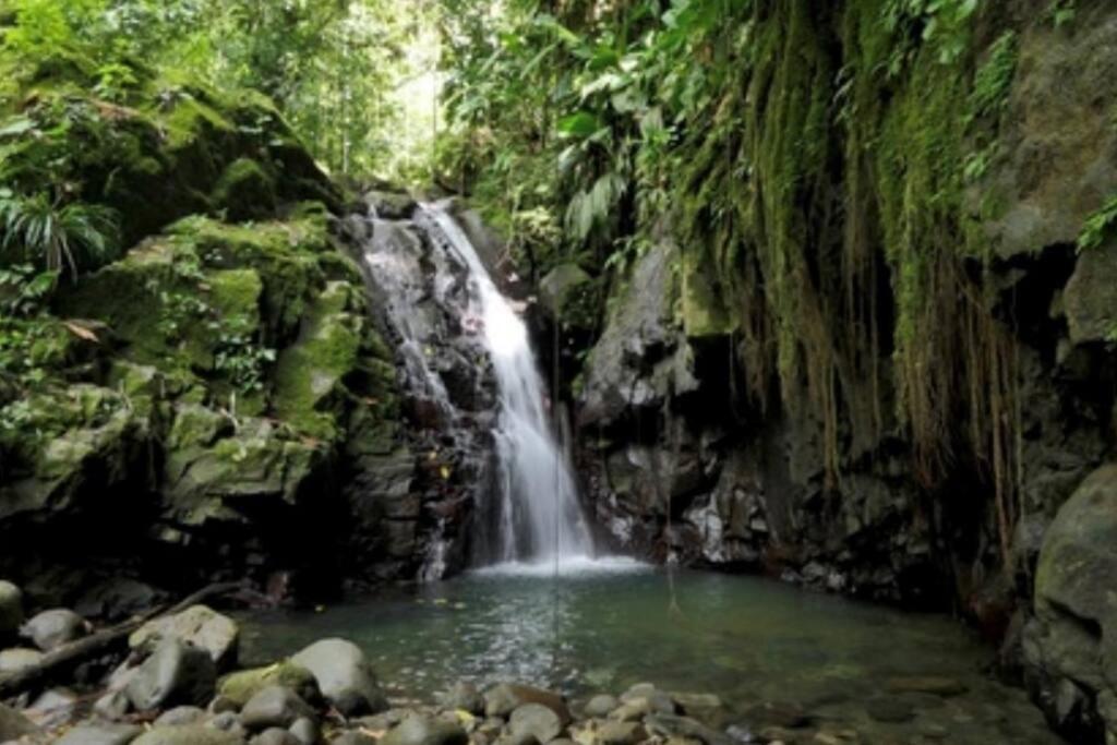 Cocon Tropical Lägenhet Vieux-Habitants Exteriör bild
