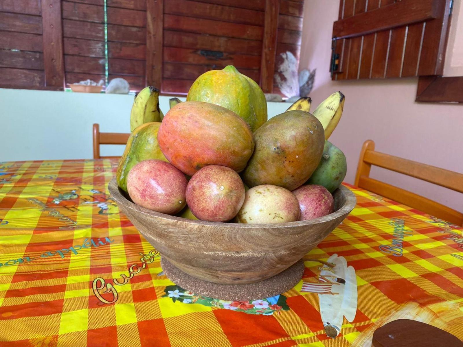 Cocon Tropical Lägenhet Vieux-Habitants Exteriör bild