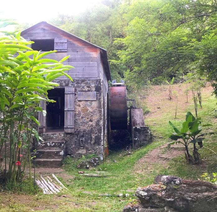 Cocon Tropical Lägenhet Vieux-Habitants Exteriör bild