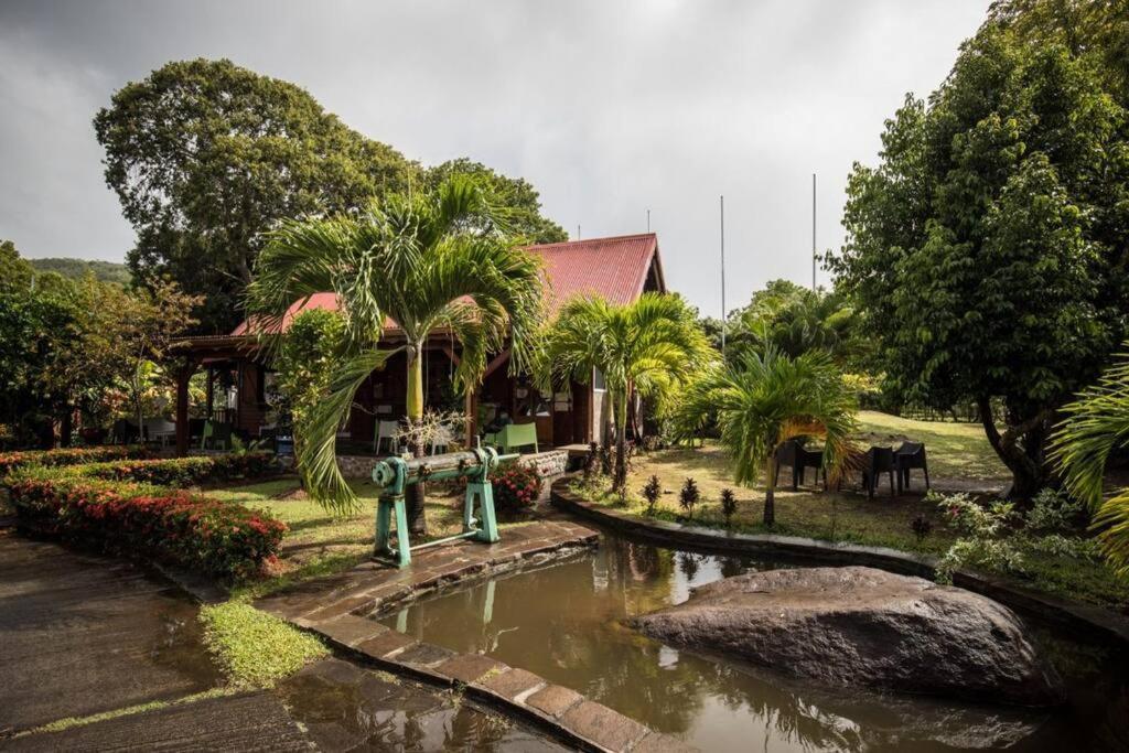 Cocon Tropical Lägenhet Vieux-Habitants Exteriör bild